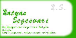 matyas segesvari business card